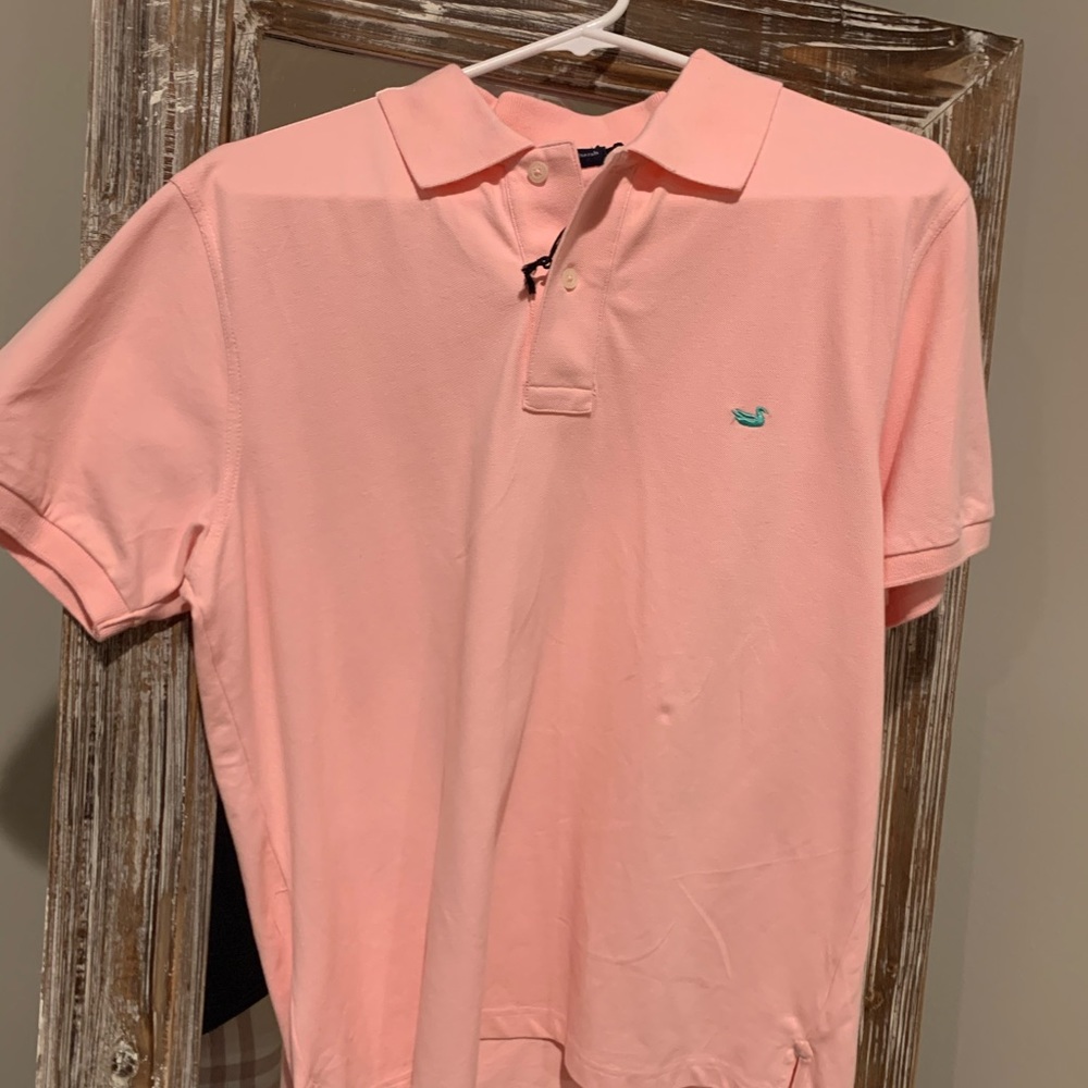 Southern marsh polo